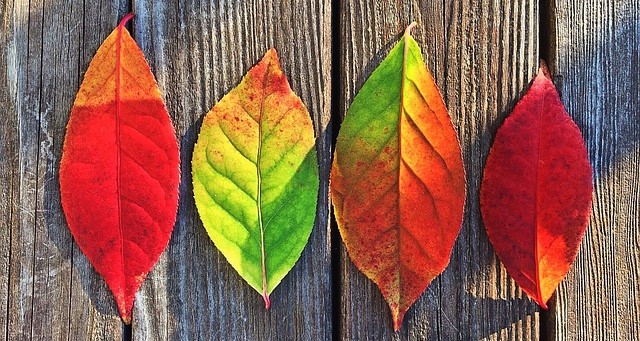 Comunicación interna y gestión del cambio