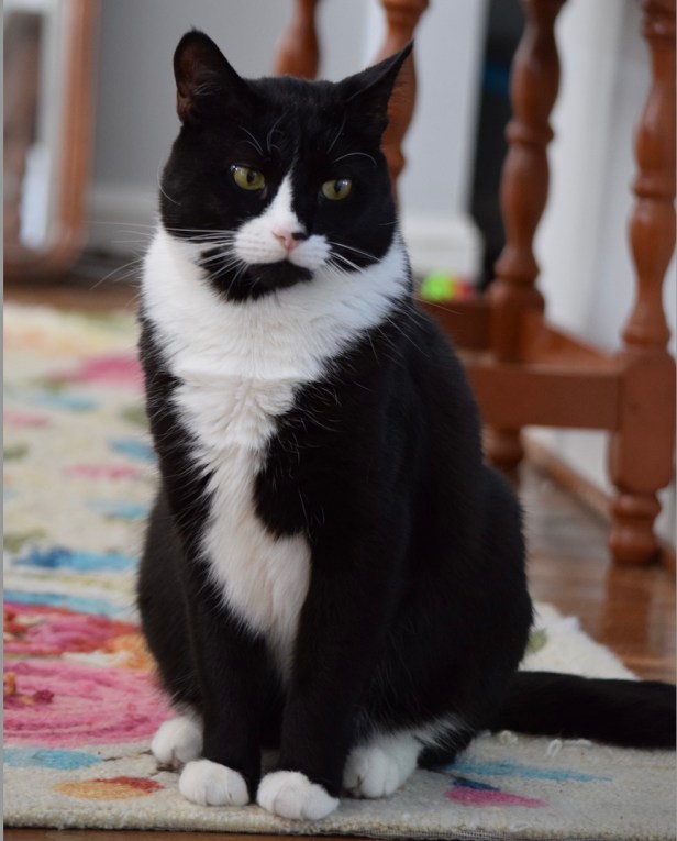 10 ideas para practicar el cambio organizacional en casa