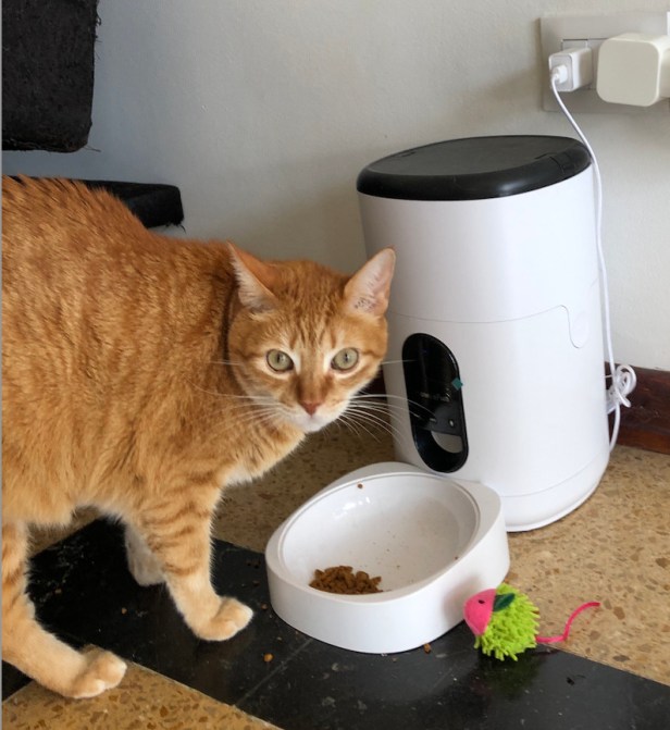 10 ideas para practicar el cambio organizacional en casa