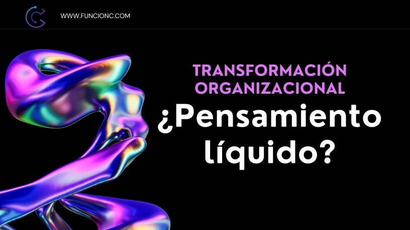 Transformación organizacional y pensamiento líquido